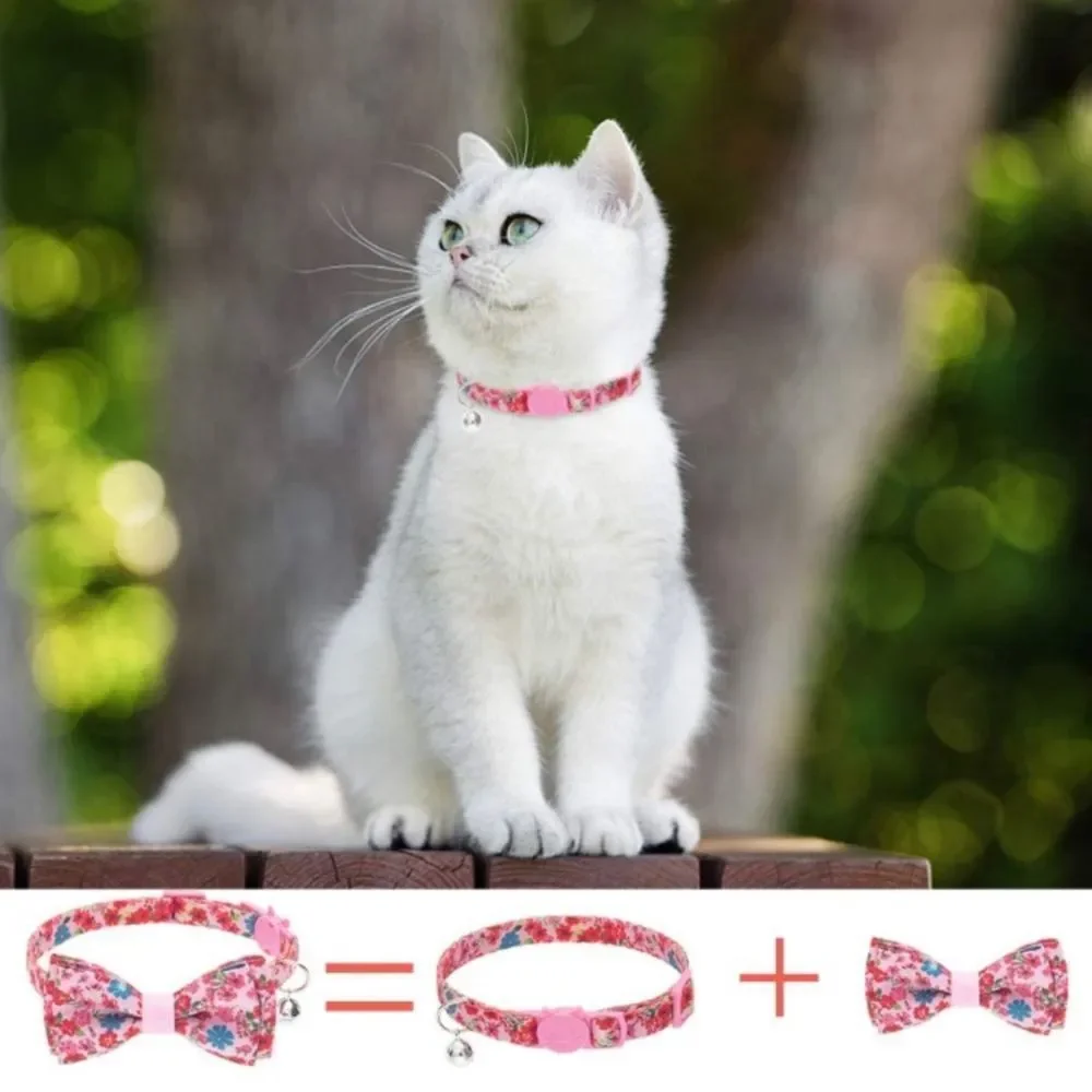 Flower 🌺 Cat 🐈 Collar